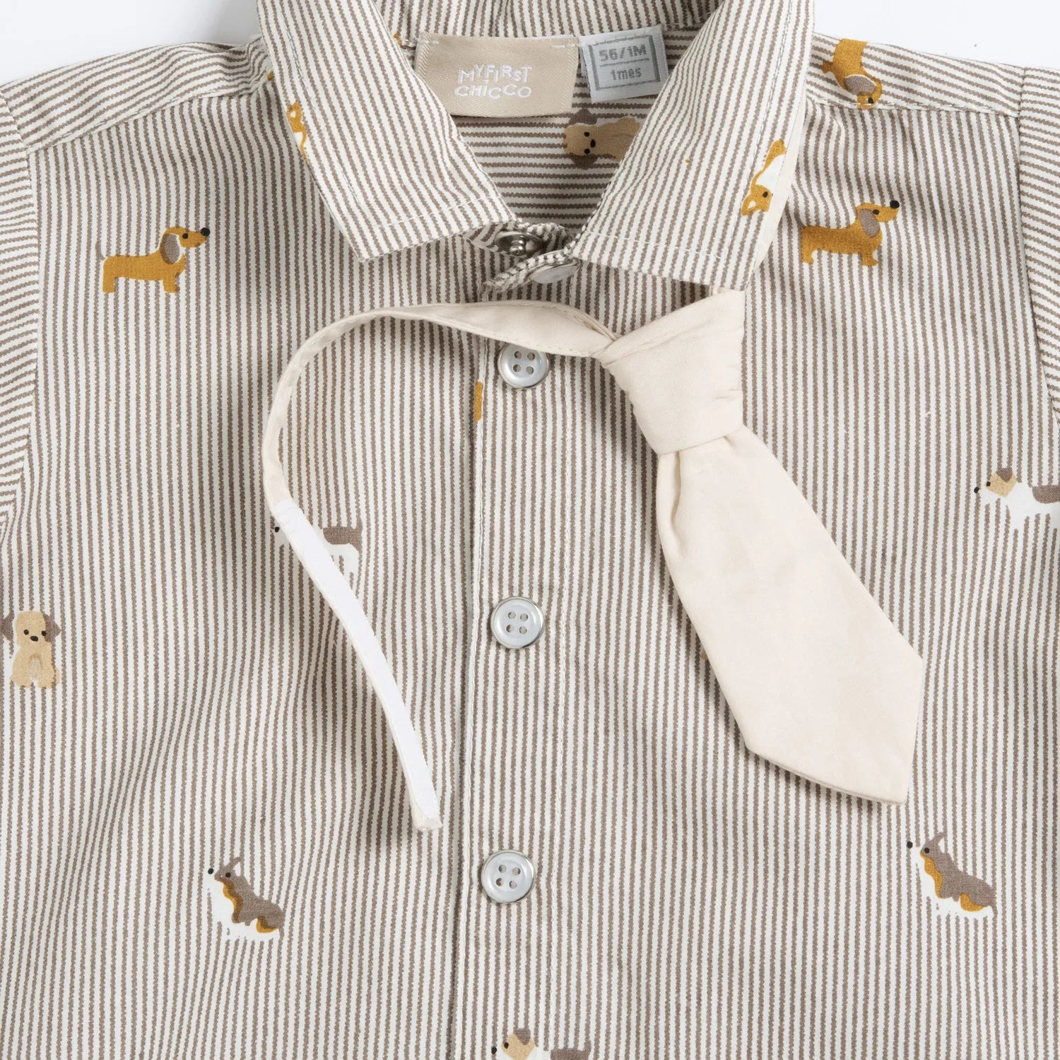 Boys Beige Striped Shirt with Tie