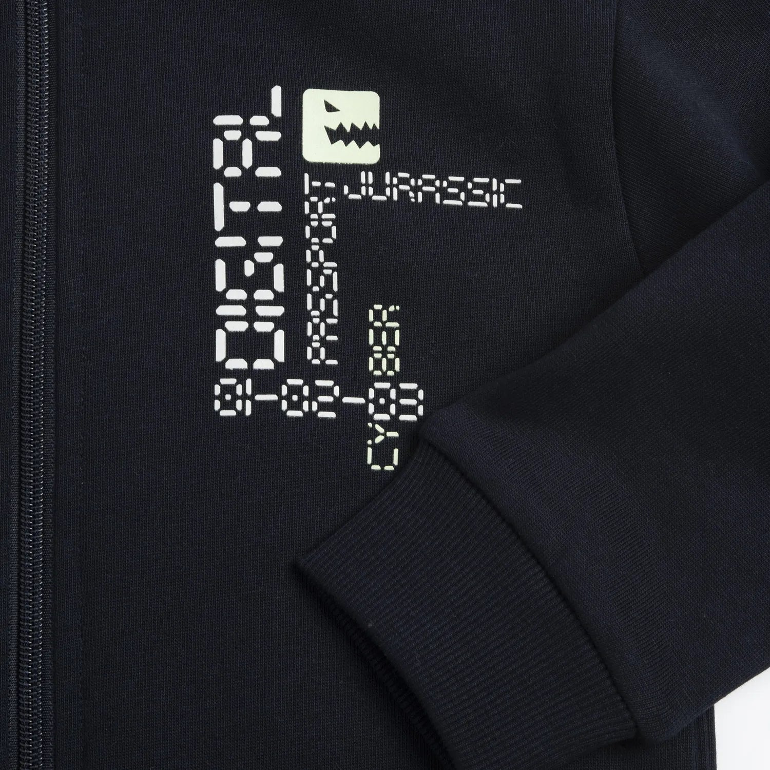 Boys Dark Blue Printed Sweatshirt