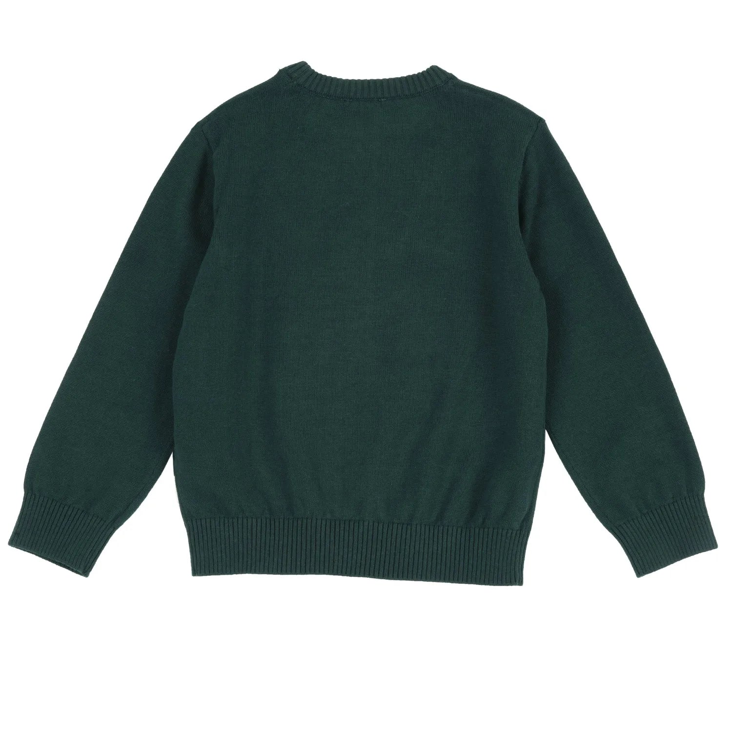 Boys Medium Green Printed Pullover