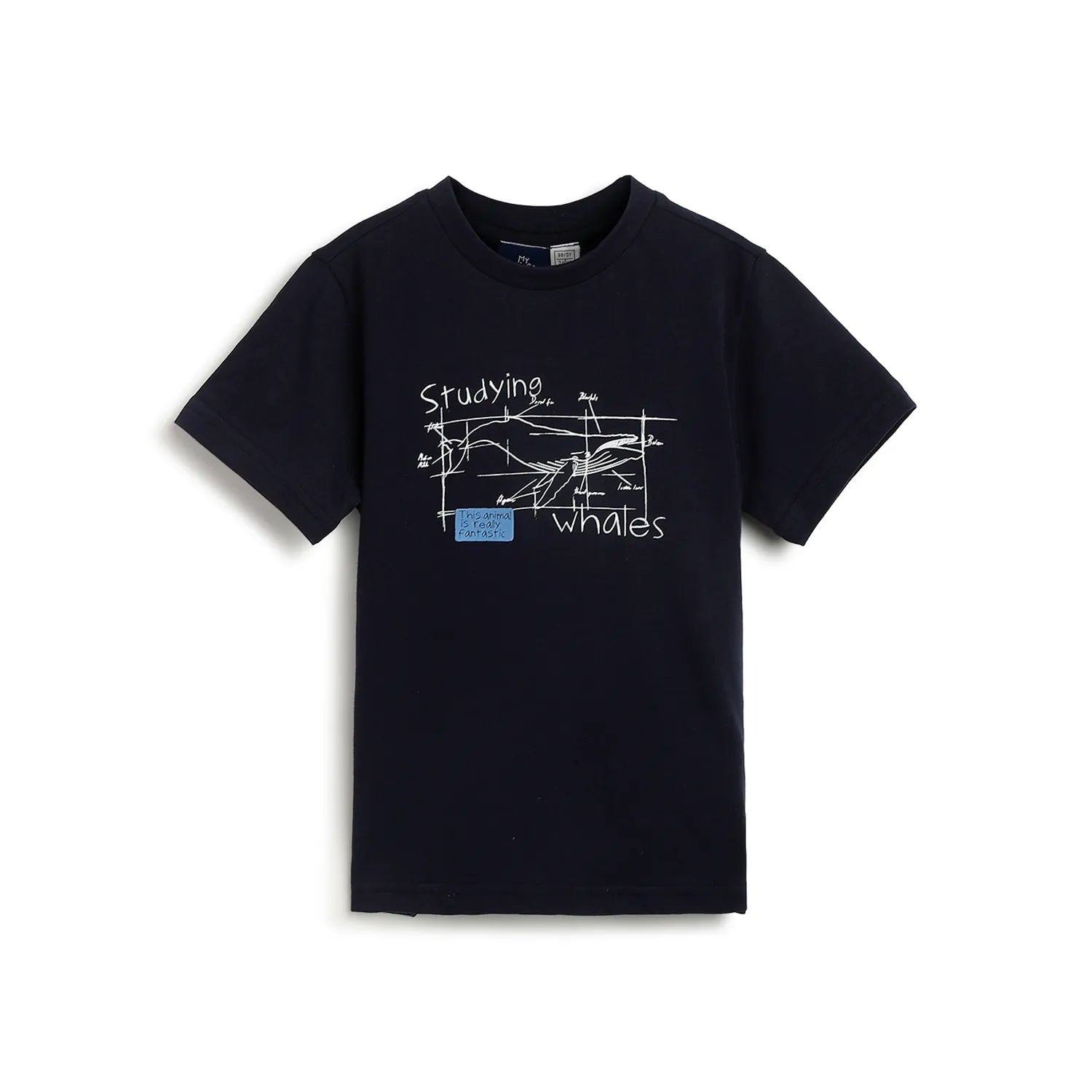 Boys Blue Graphic Printed T-shirt