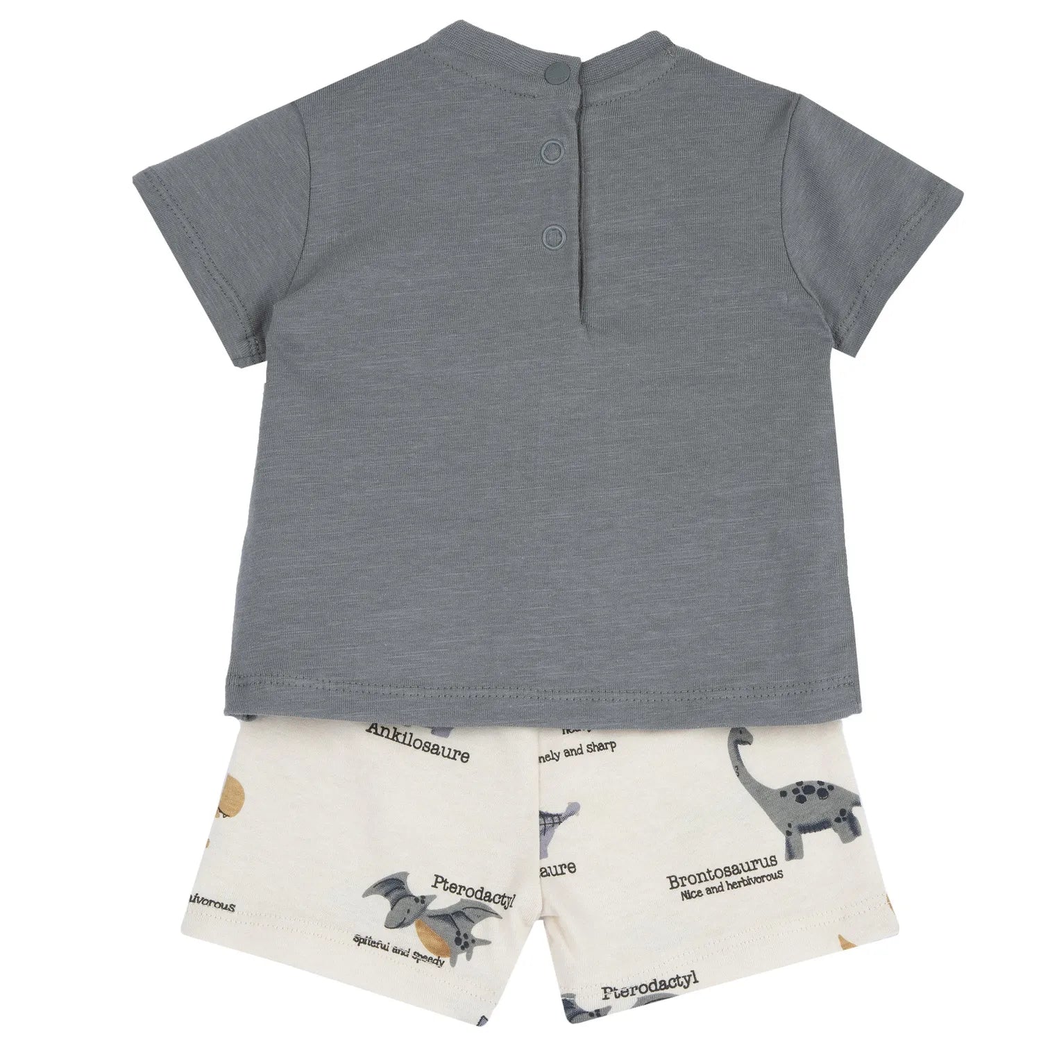 Boys Medium Grey Animal Printed T-Shirt with Shorts
