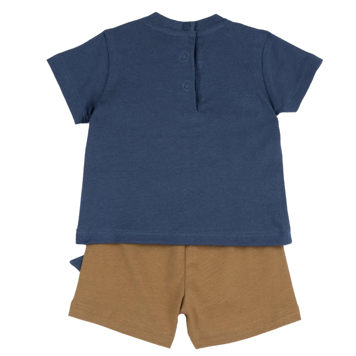 Boys Medium Light Blue Animal Printed T-Shirt with Shorts