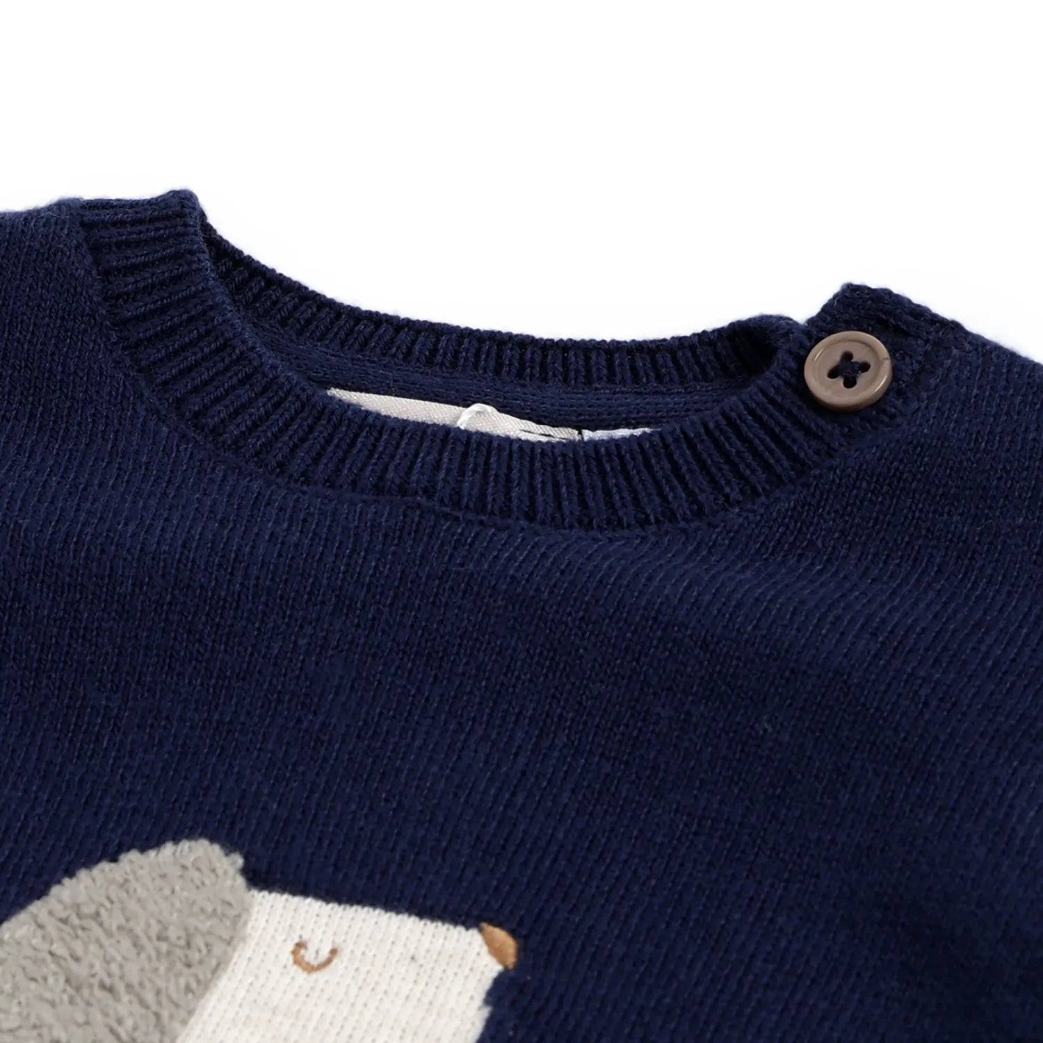 Boys Navy Blue Graphic Printed Pullover