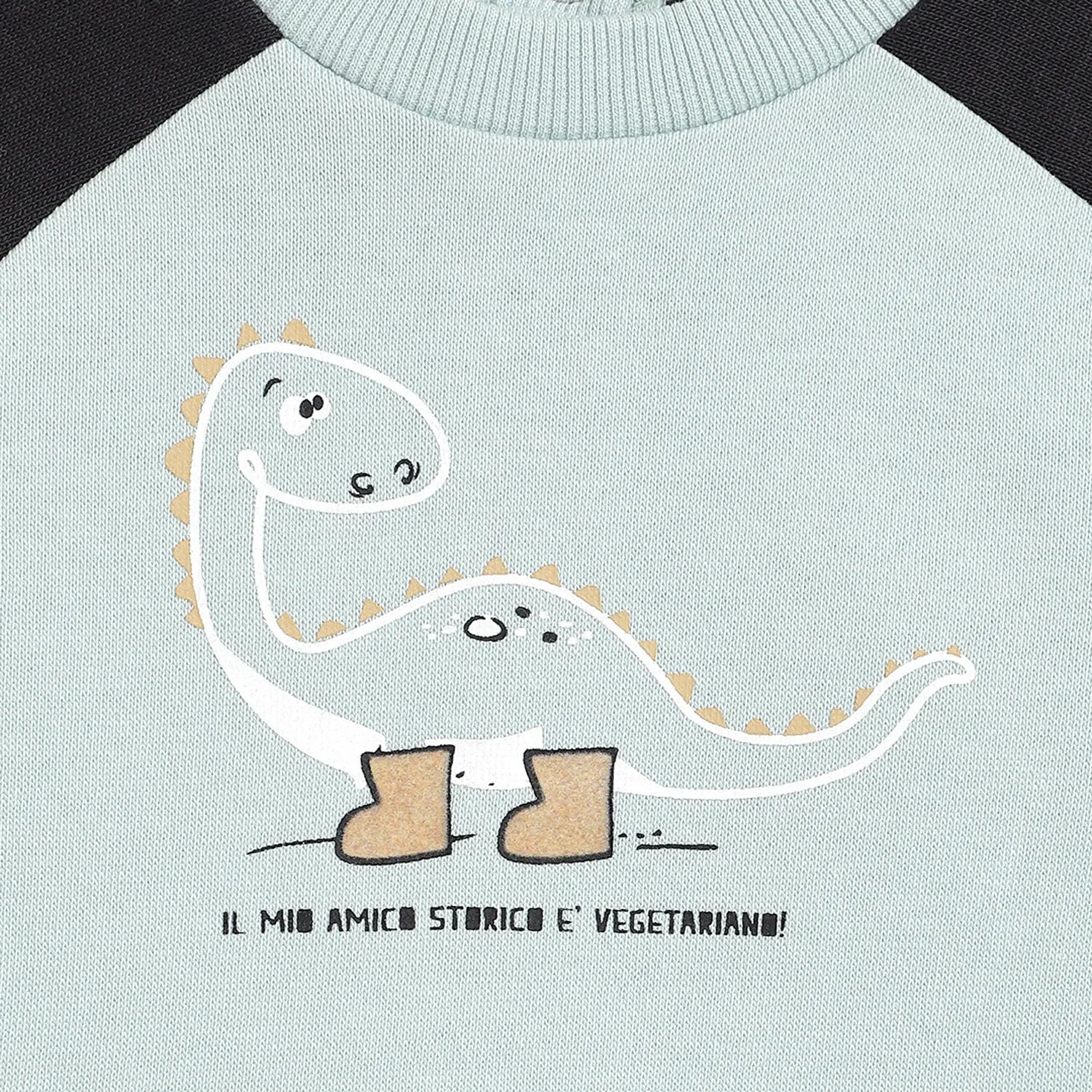 Boys Printed Pure Cotton Sweatshirt With Trouser