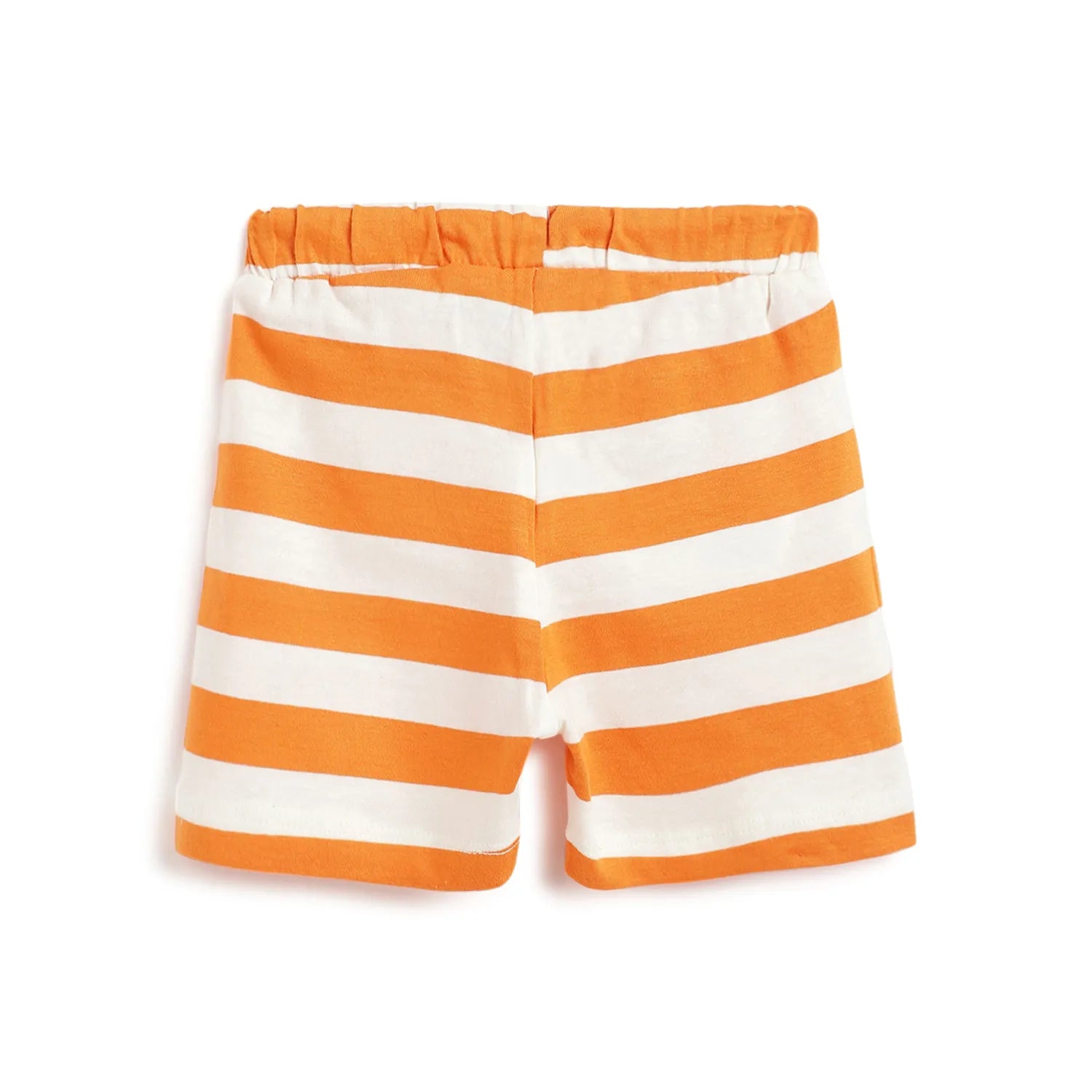 Boys Printed T-shirt With Shorts