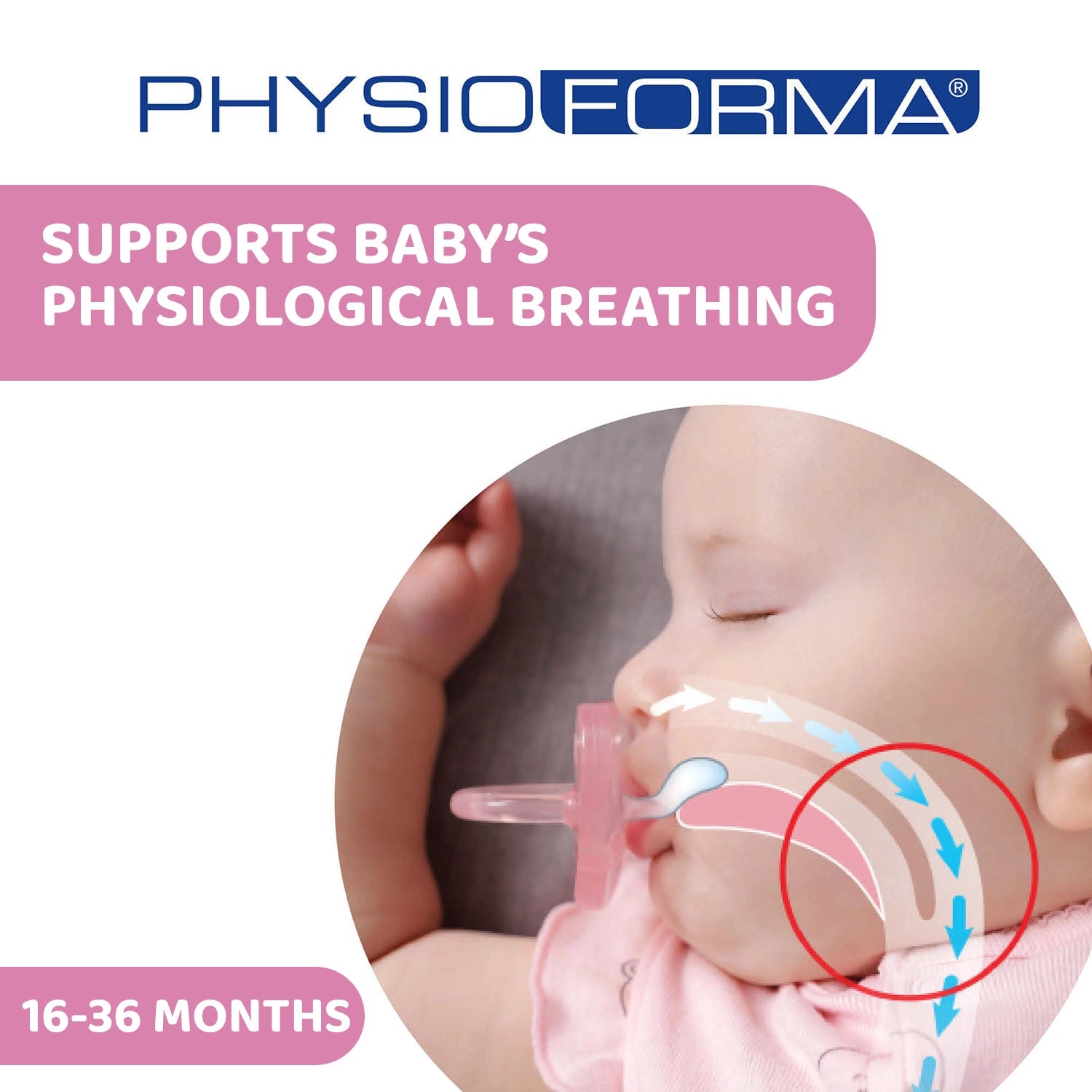 Soother Physio Comfort Pink 16 to 36M 2Pcs