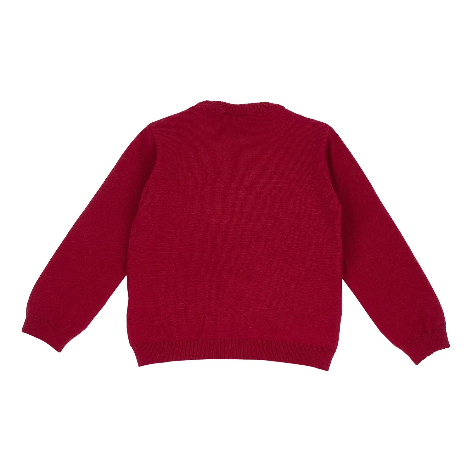Girls Red Printed Pullover