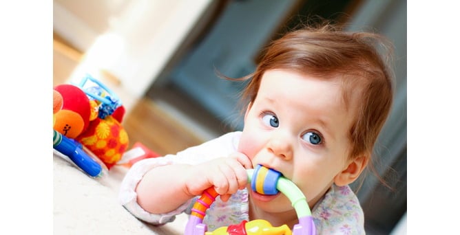 How baby teeth grow