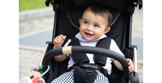 Summer yes, mosquitoes no!