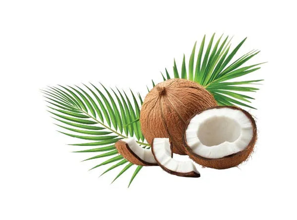 100% Virgin Coconut Oil