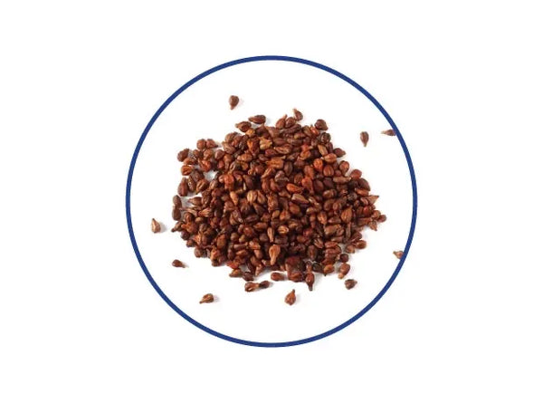 Grapeseed Oil