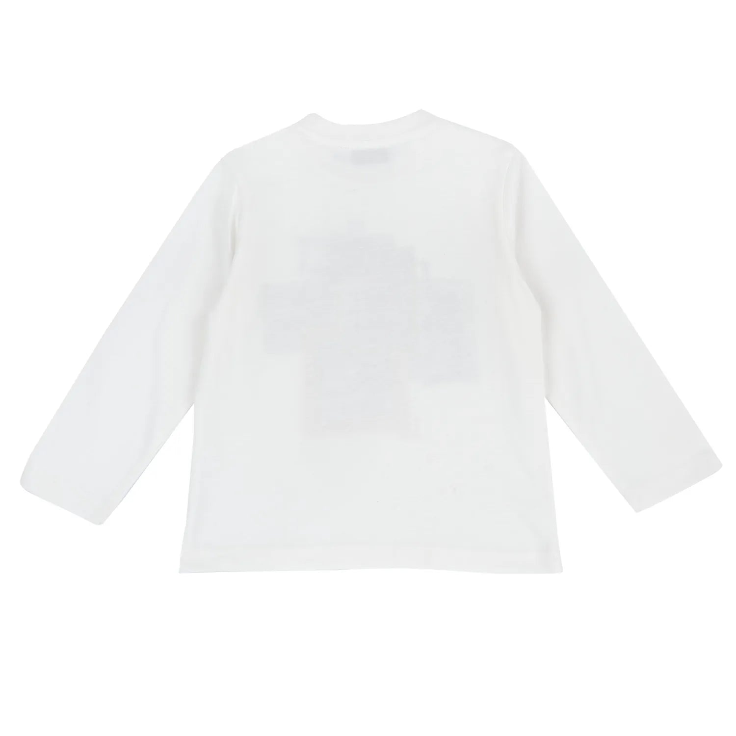 Boys Graphic Printed Round Neck T-shirt