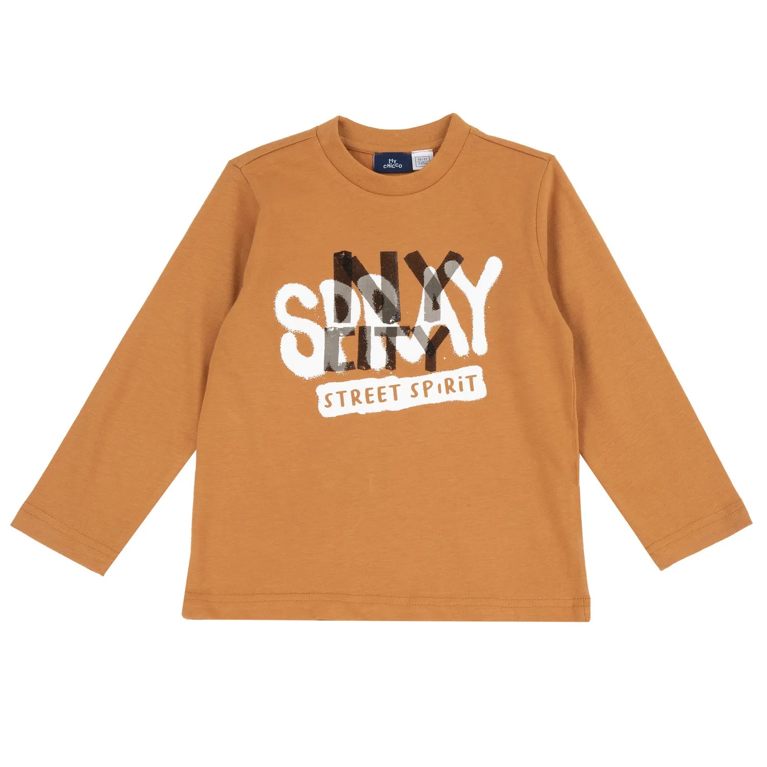 Boys Graphic Printed Round Neck T-shirt