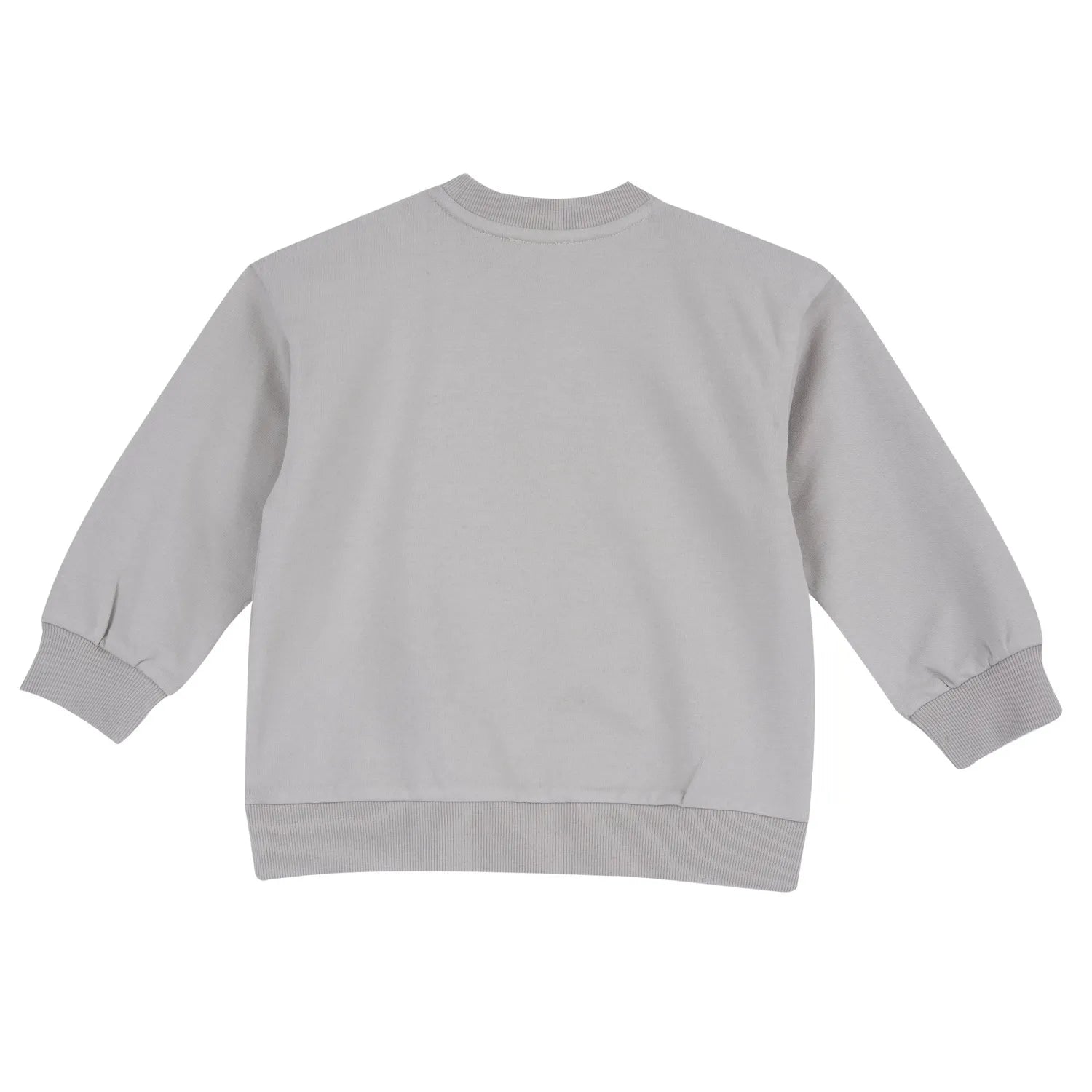 Boys Grey Graphic Printed Sweatshirt