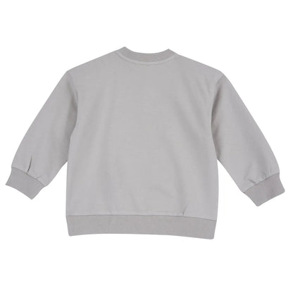 Boys Grey Graphic Printed Sweatshirt