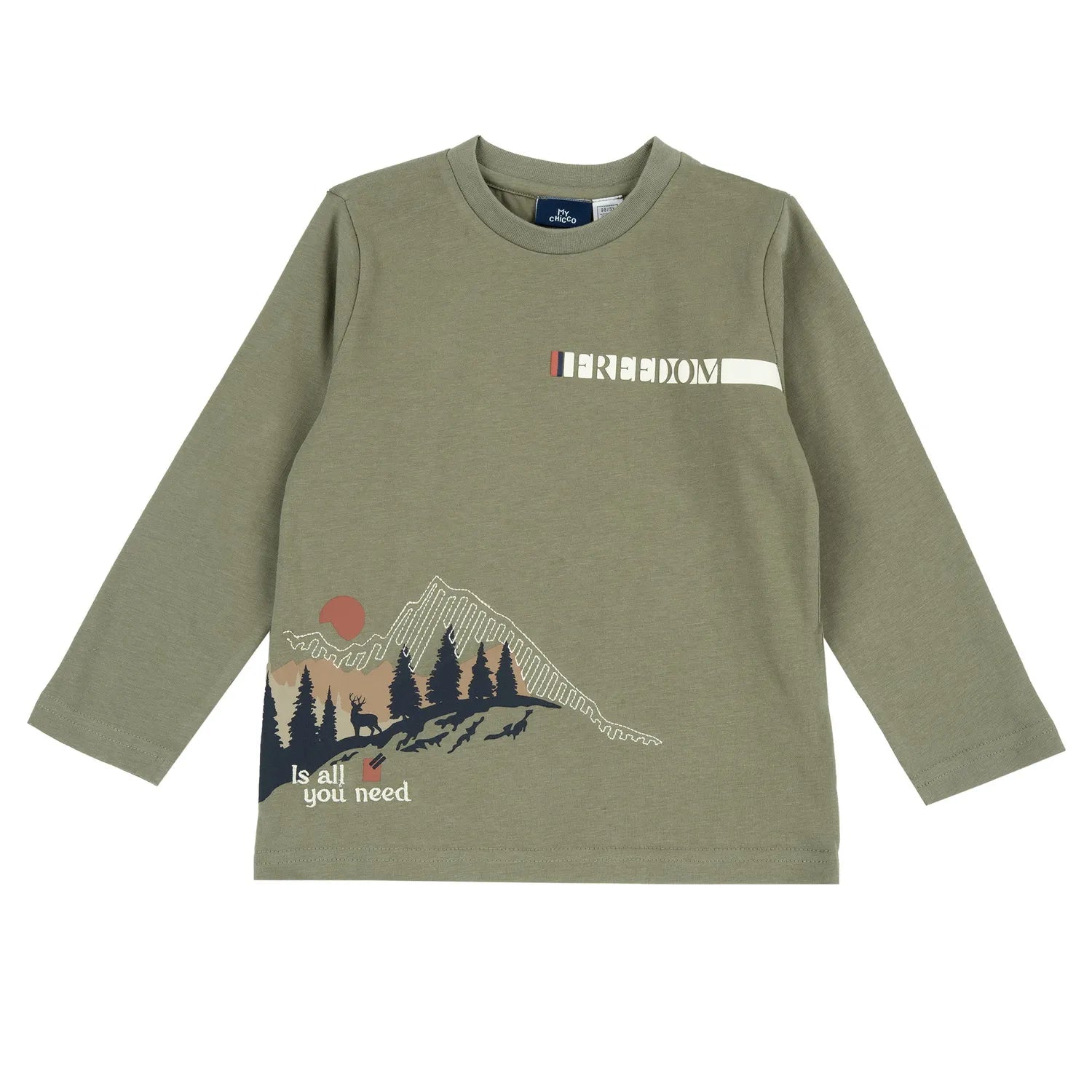 Boys Light Green Printed Long Sleeve T-shirt
