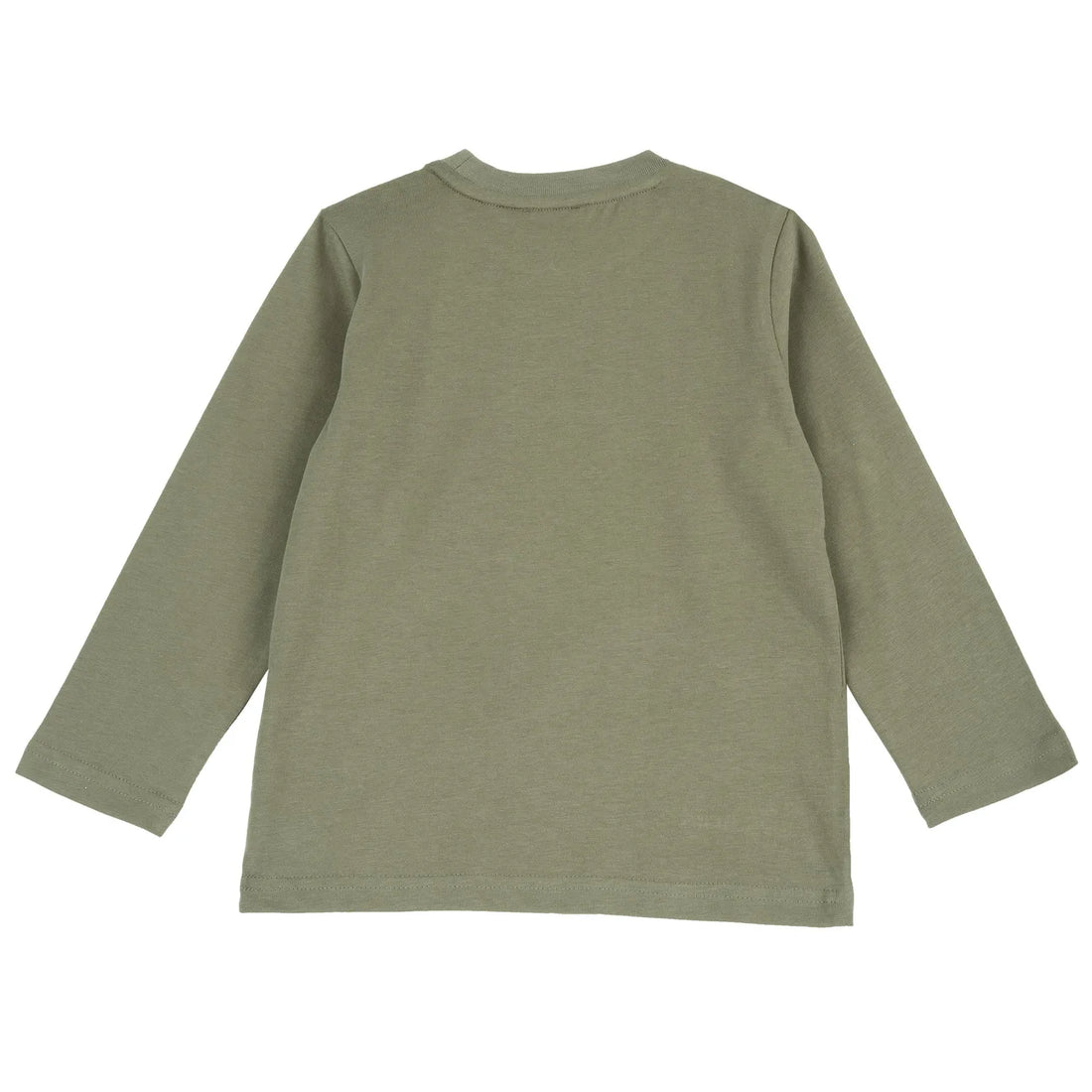 Boys Light Green Printed Long Sleeve T-shirt