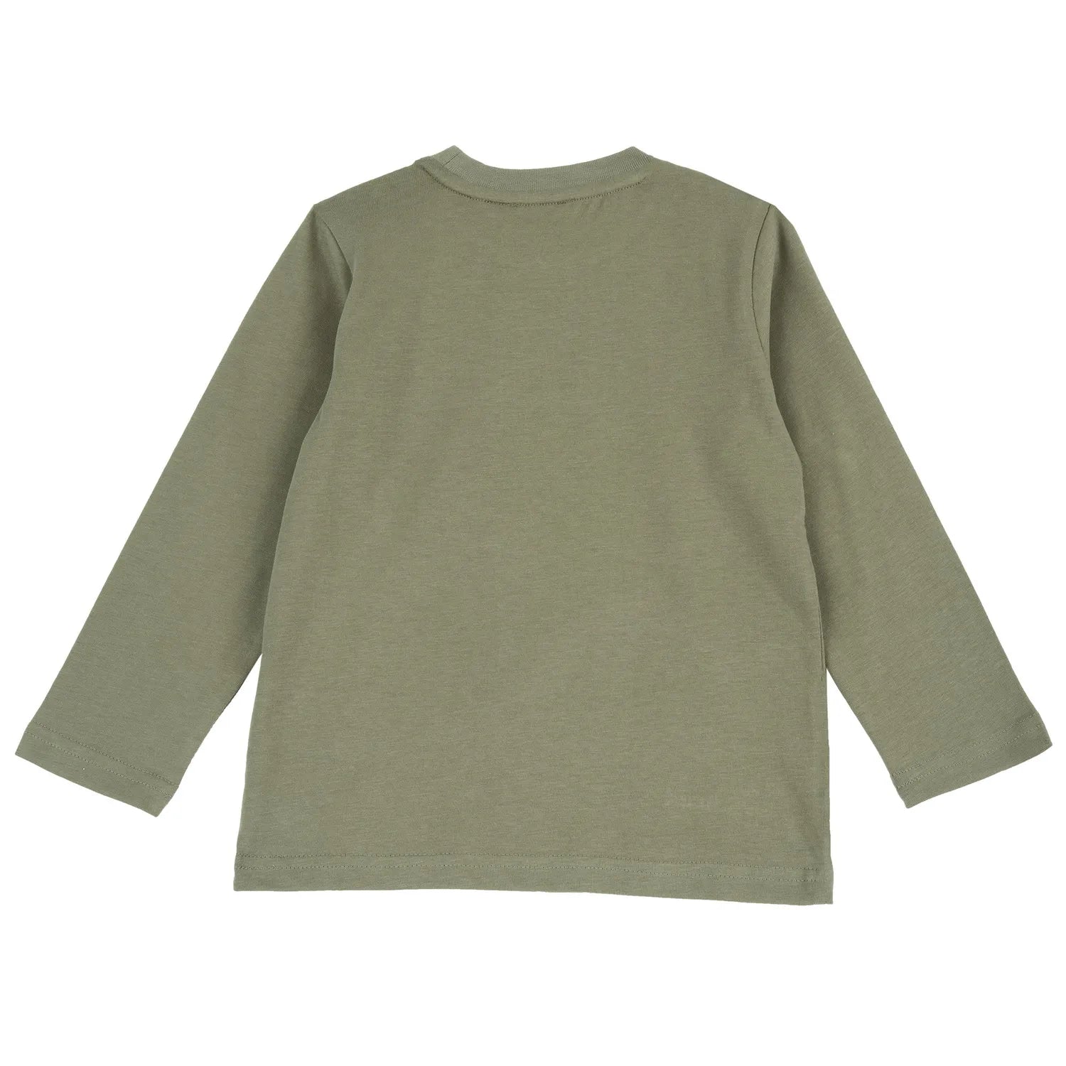 Boys Light Green Printed Long Sleeve T-shirt