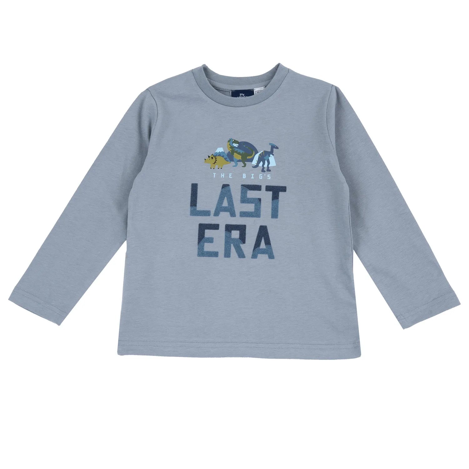 Boys Light Grey Printed Long Sleeve T-shirt