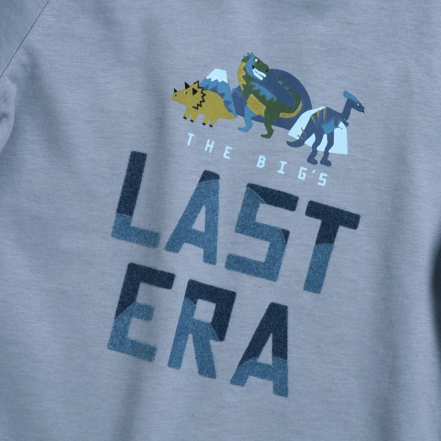 Boys Light Grey Printed Long Sleeve T-shirt