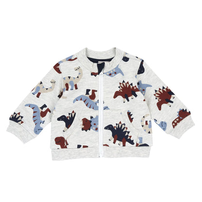 Boys Light Grey Printed Sweatshirt