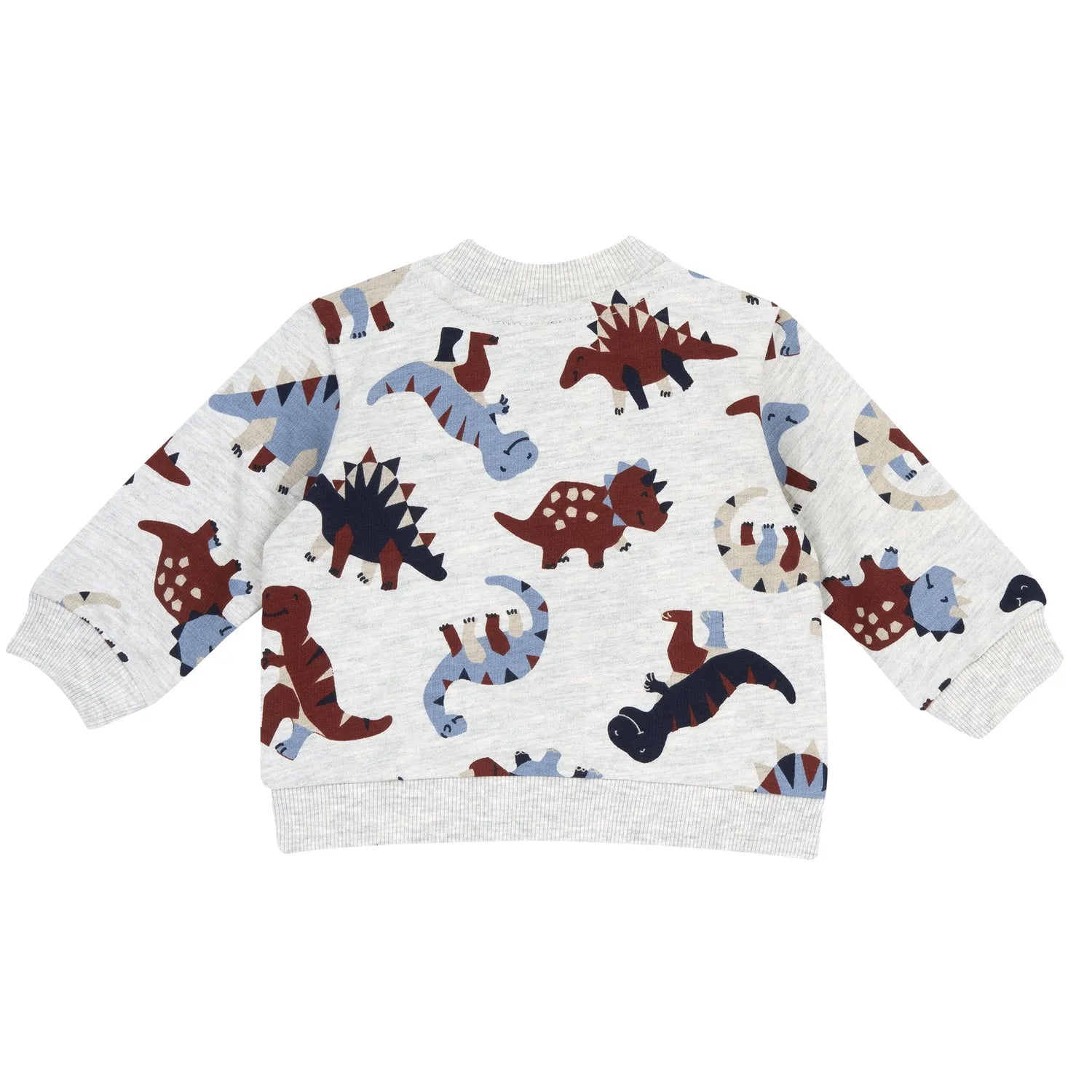 Boys Light Grey Printed Sweatshirt