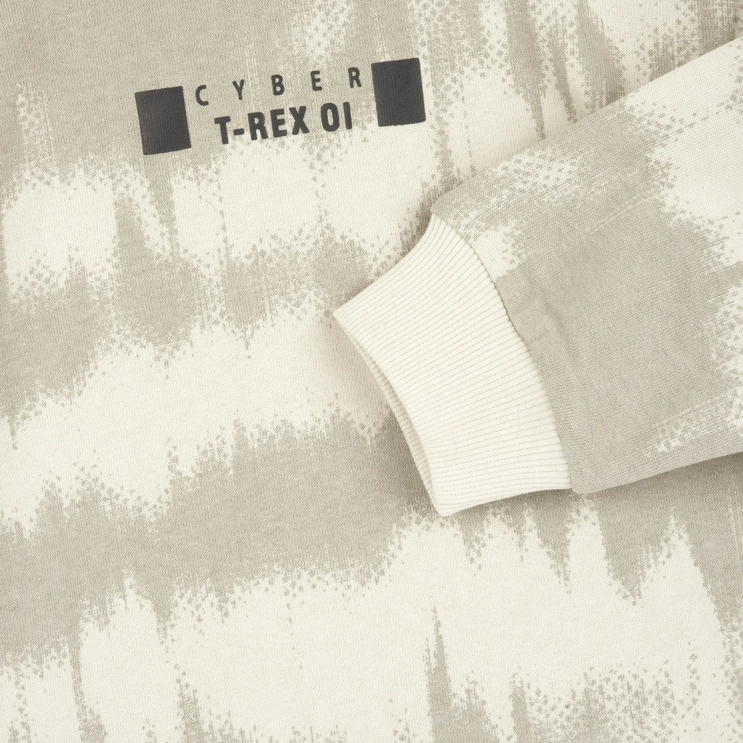 Boys Light Natural Printed Fleece Sweatshirt