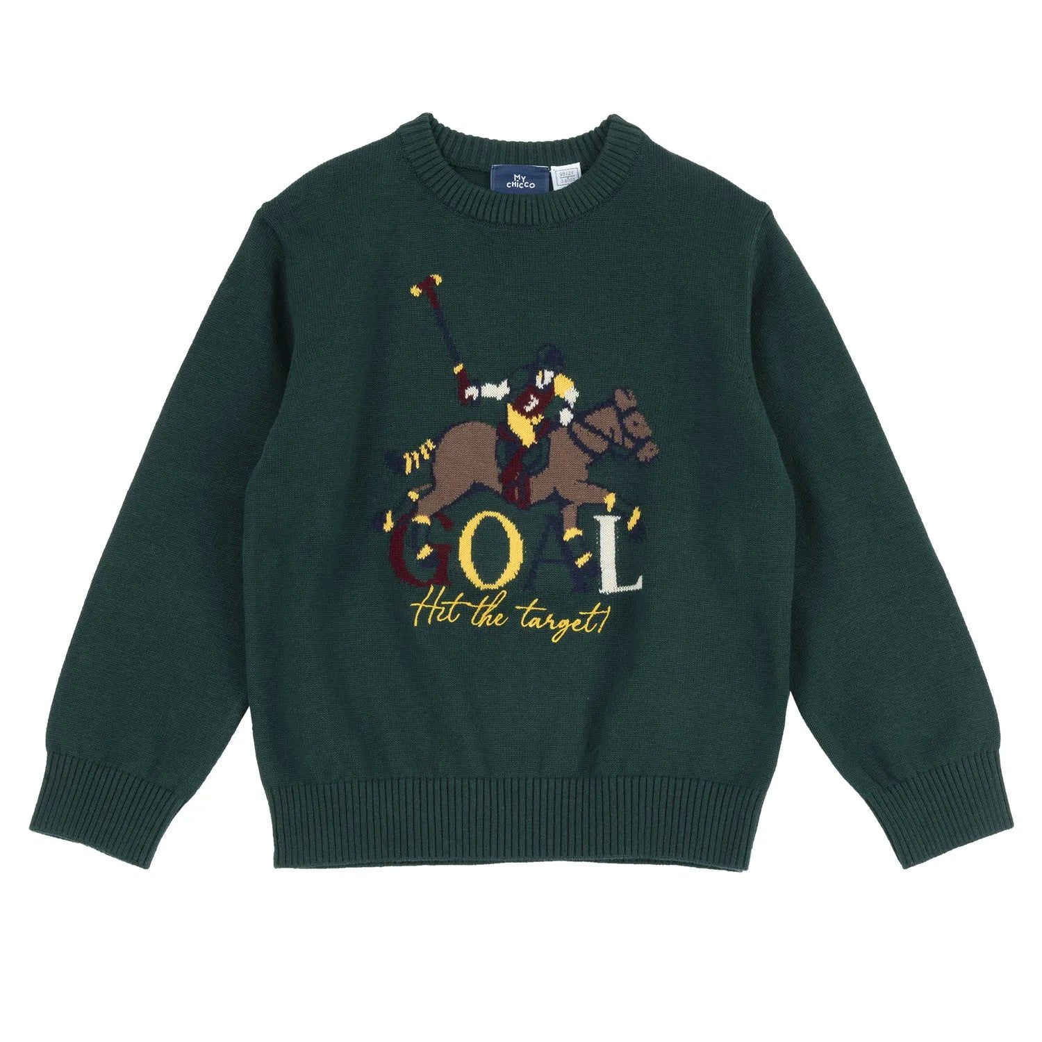 Boys Medium Green Printed Pullover
