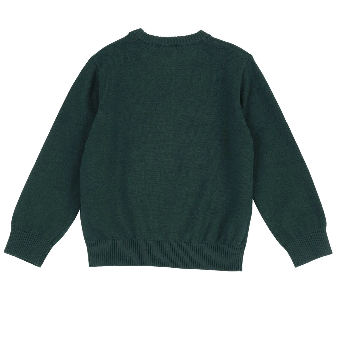 Boys Medium Green Printed Pullover