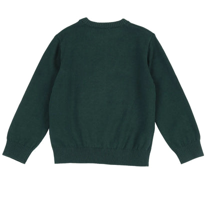 Boys Medium Green Printed Pullover
