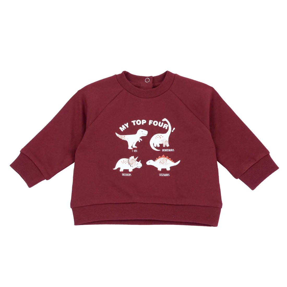 Boys Medium Red Printed Sweatshirt