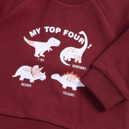 Boys Medium Red Printed Sweatshirt
