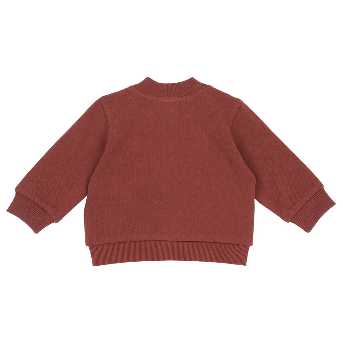 Boys Printed Cotton Fleece Sweatshirt