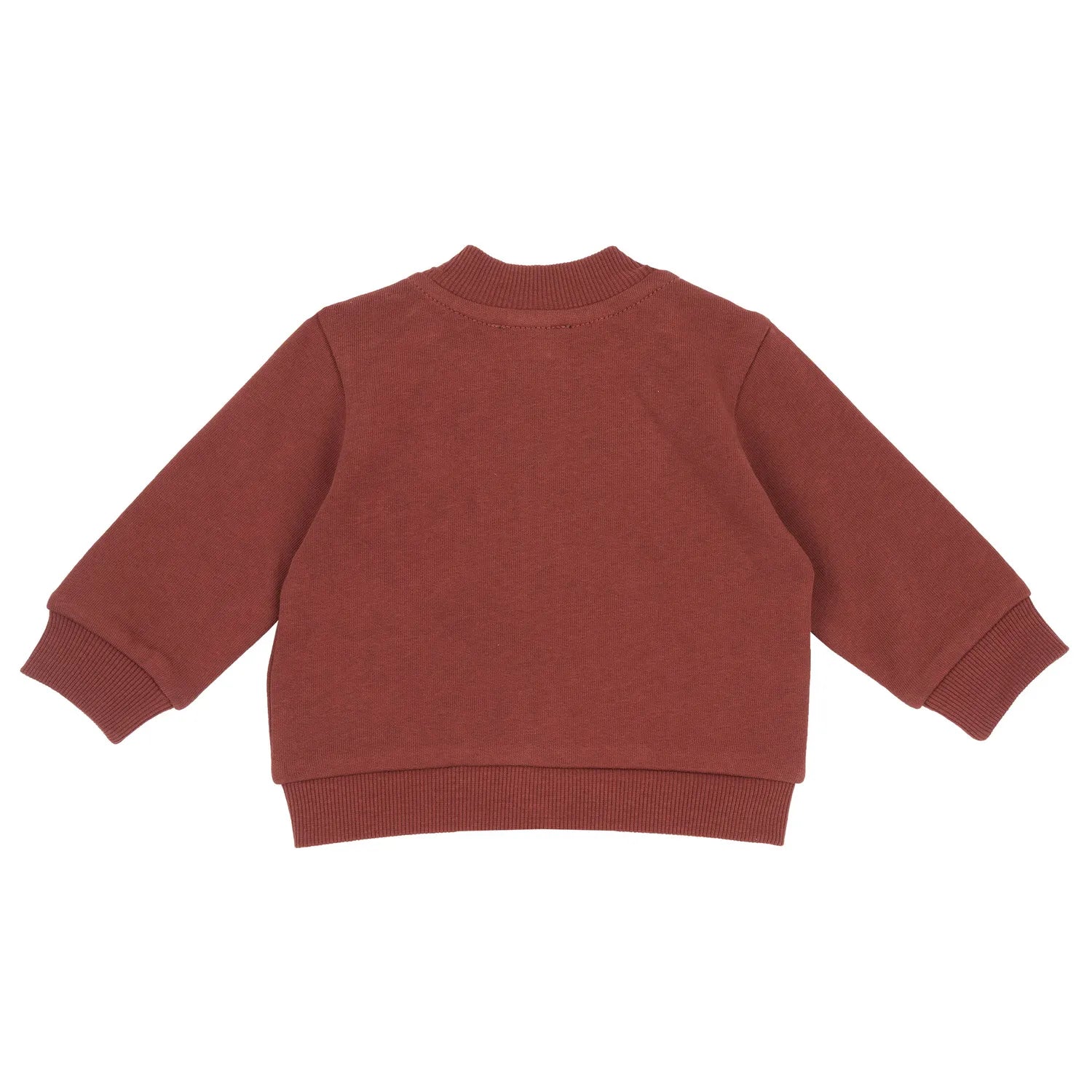 Boys Printed Cotton Fleece Sweatshirt