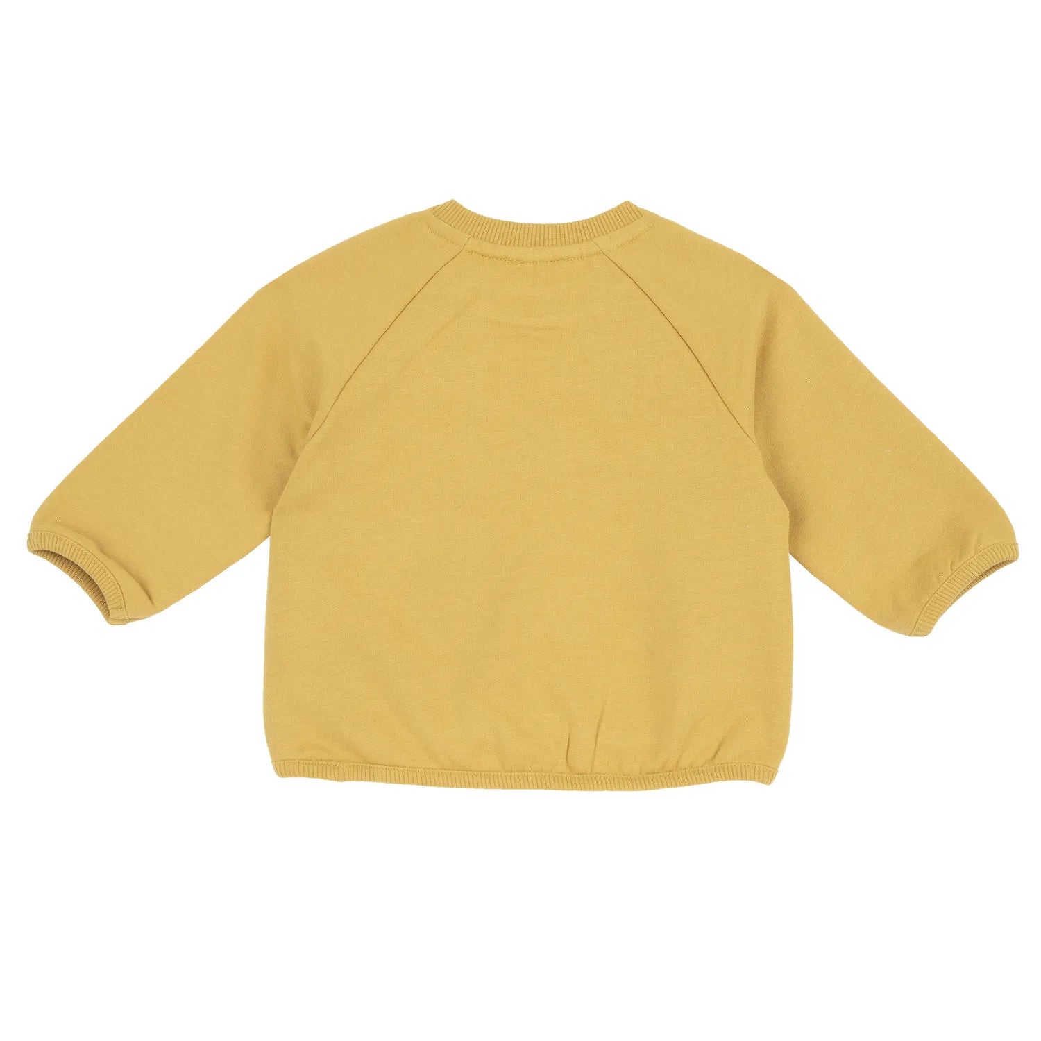 Boys Printed Fleece Sweatshirt