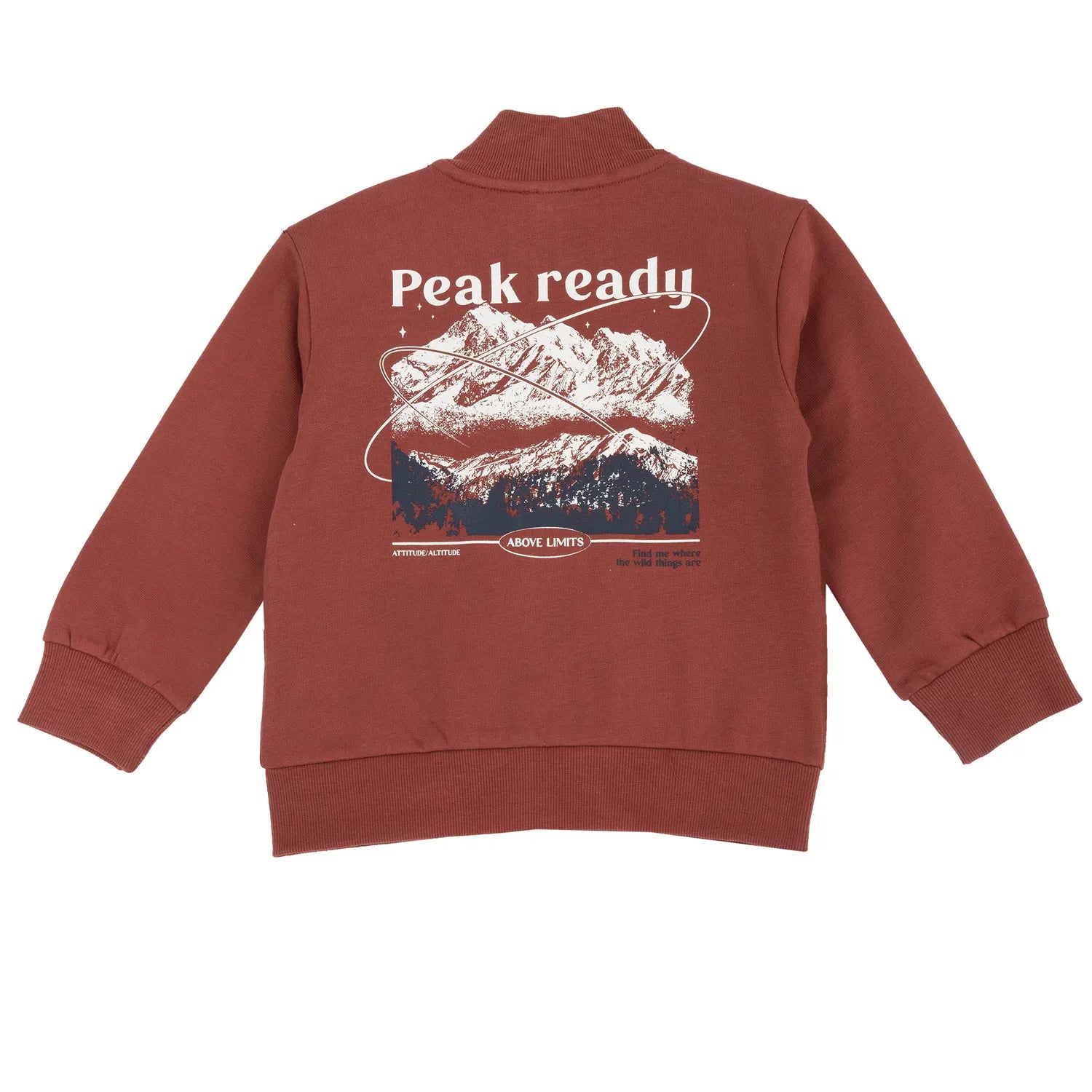 Boys Rust Printed Knitted Sweatshirt