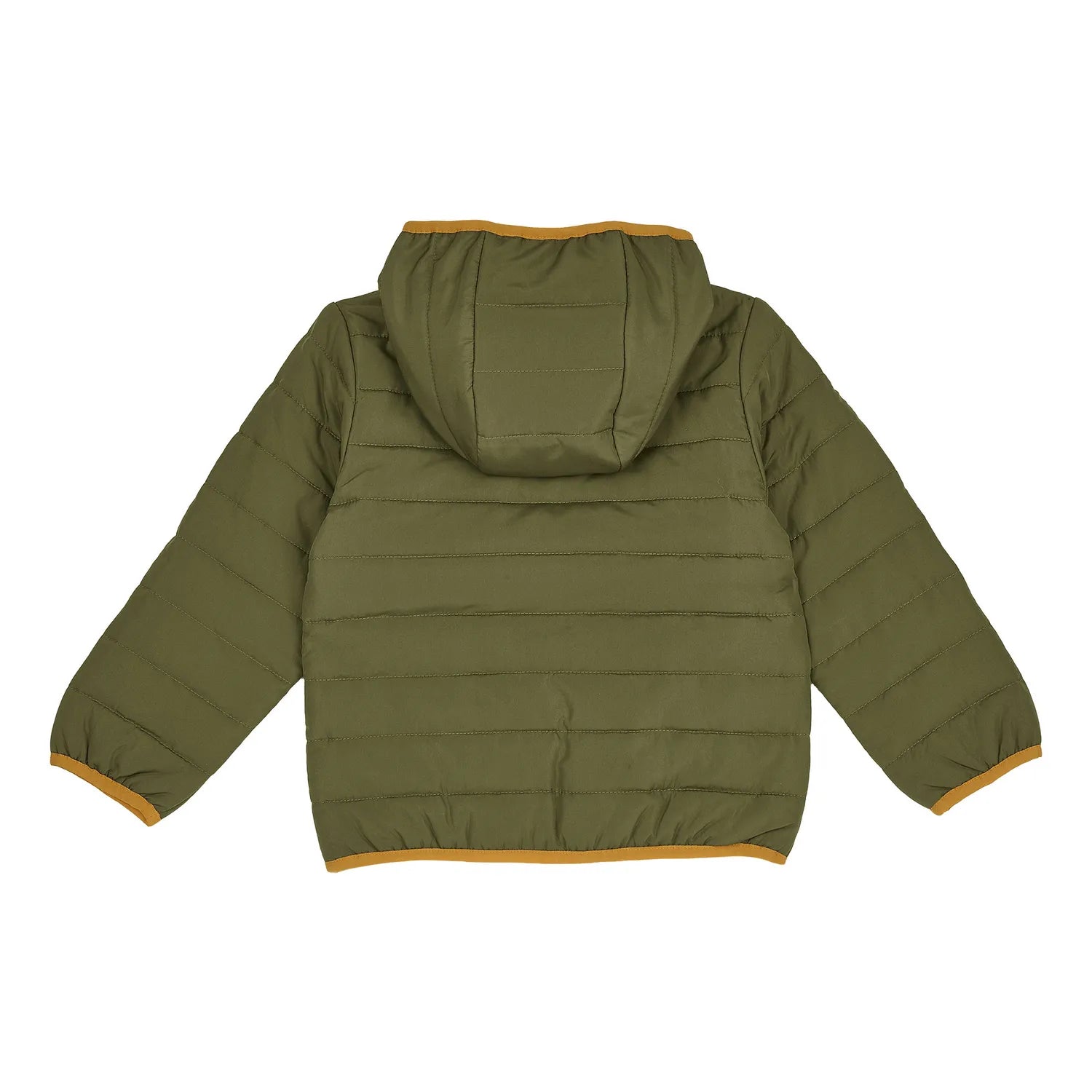 Boys Solid Polyester Padded Jacket