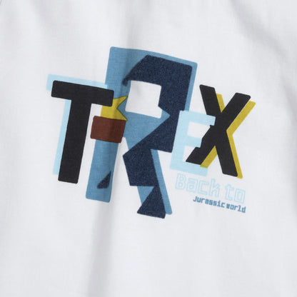 Boys White Typography Printed Long Sleeve T-shirt
