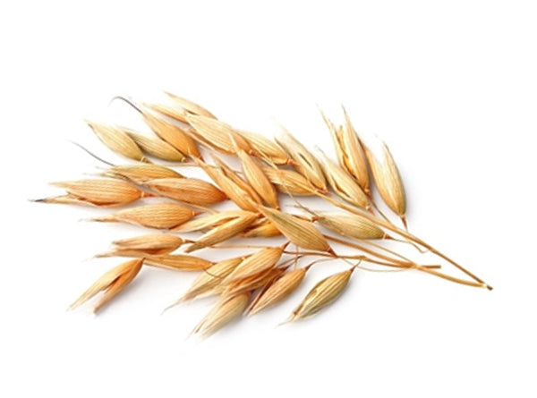 OATS CONTAIN `SAPONIN`