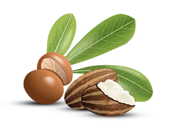 JOJOBA BUTTER