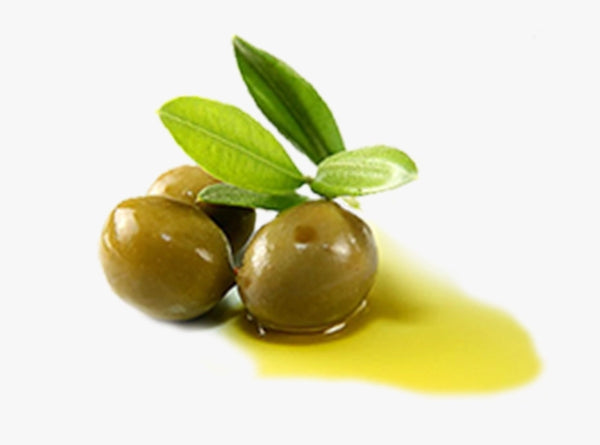 OLIVE OIL