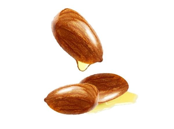 ALMOND OIL