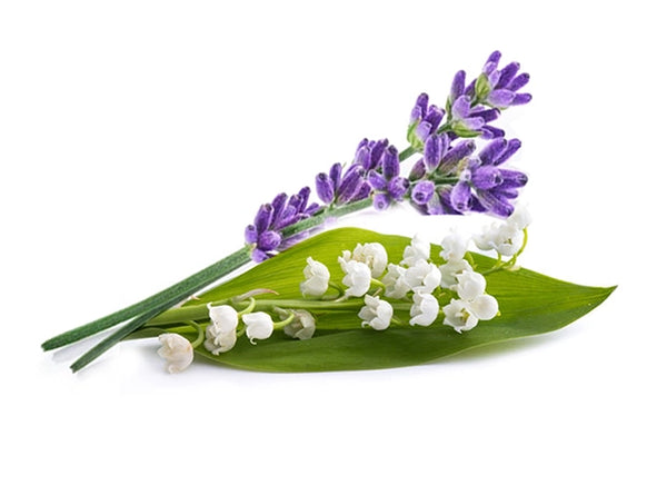 NOTES OF MUGUET & LAVENDER