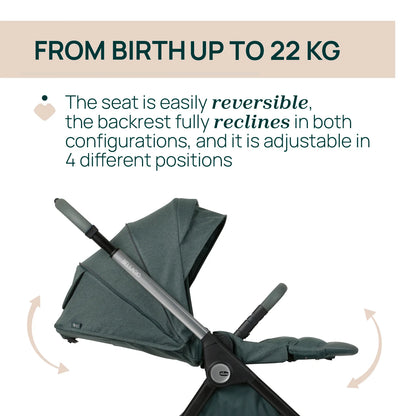 Bellagio Stroller Fir Tree