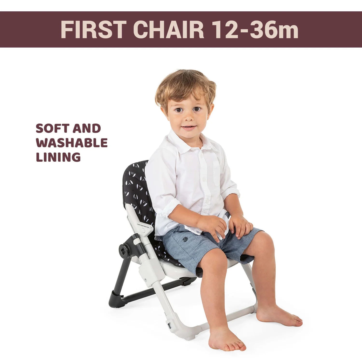 Booster Seat Chairy Sweetdog