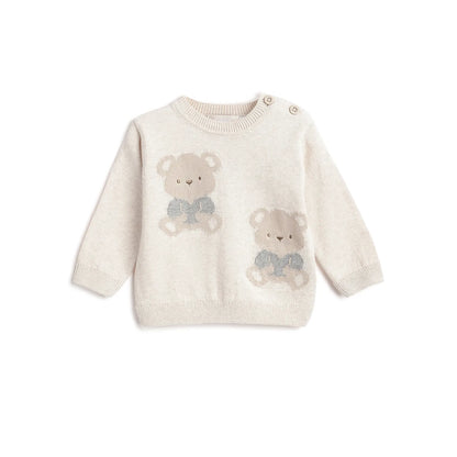 Boys Beige Animal Printed Pullover