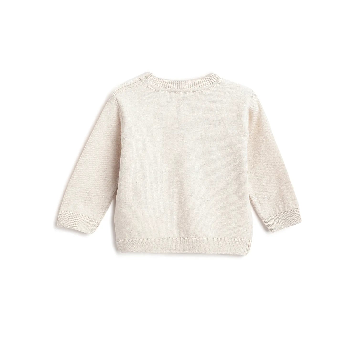 Boys Beige Animal Printed Pullover