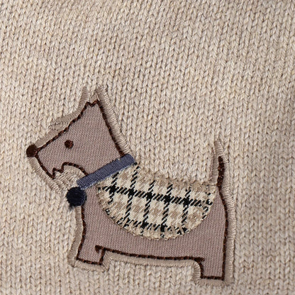 Boys Beige Colourblocked Cardigan