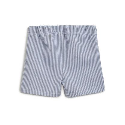 Boys Beige Printed T-Shirt with Shorts