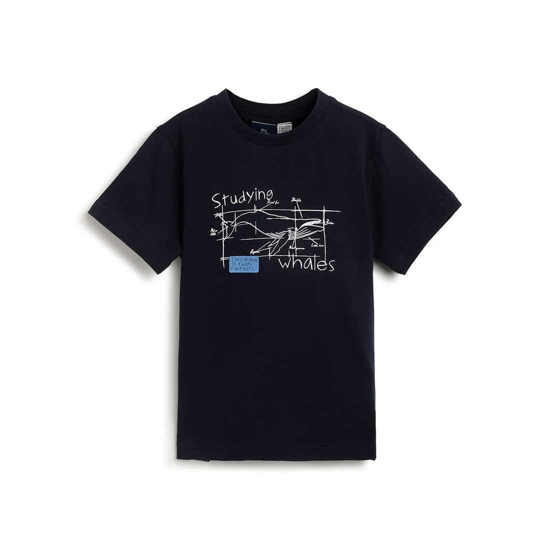 Boys Blue Graphic Printed T-shirt